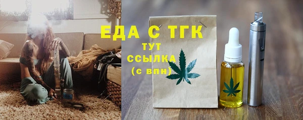 МДПВ Пересвет