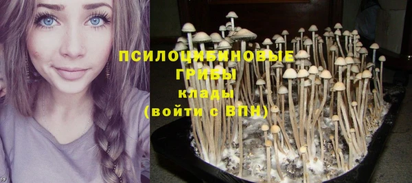 кокаин Алексеевка