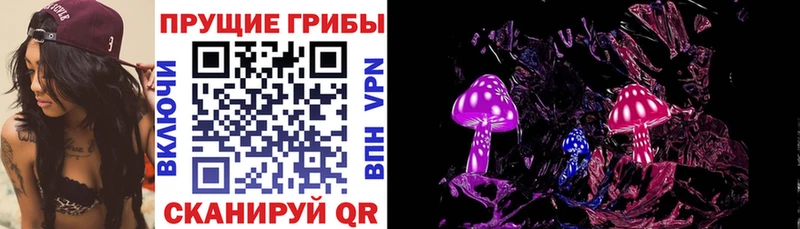 купить  сайты  Кирс  Галлюциногенные грибы мицелий 